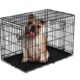 how to make your dog crate escape proof