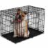 How to Soundproof a Dog Crate