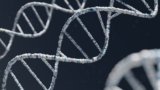 AncestryDNA vs 23andME